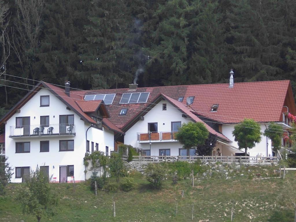 Hotel Gasthof Gruener Baum "Kongo" Amtzell Zewnętrze zdjęcie