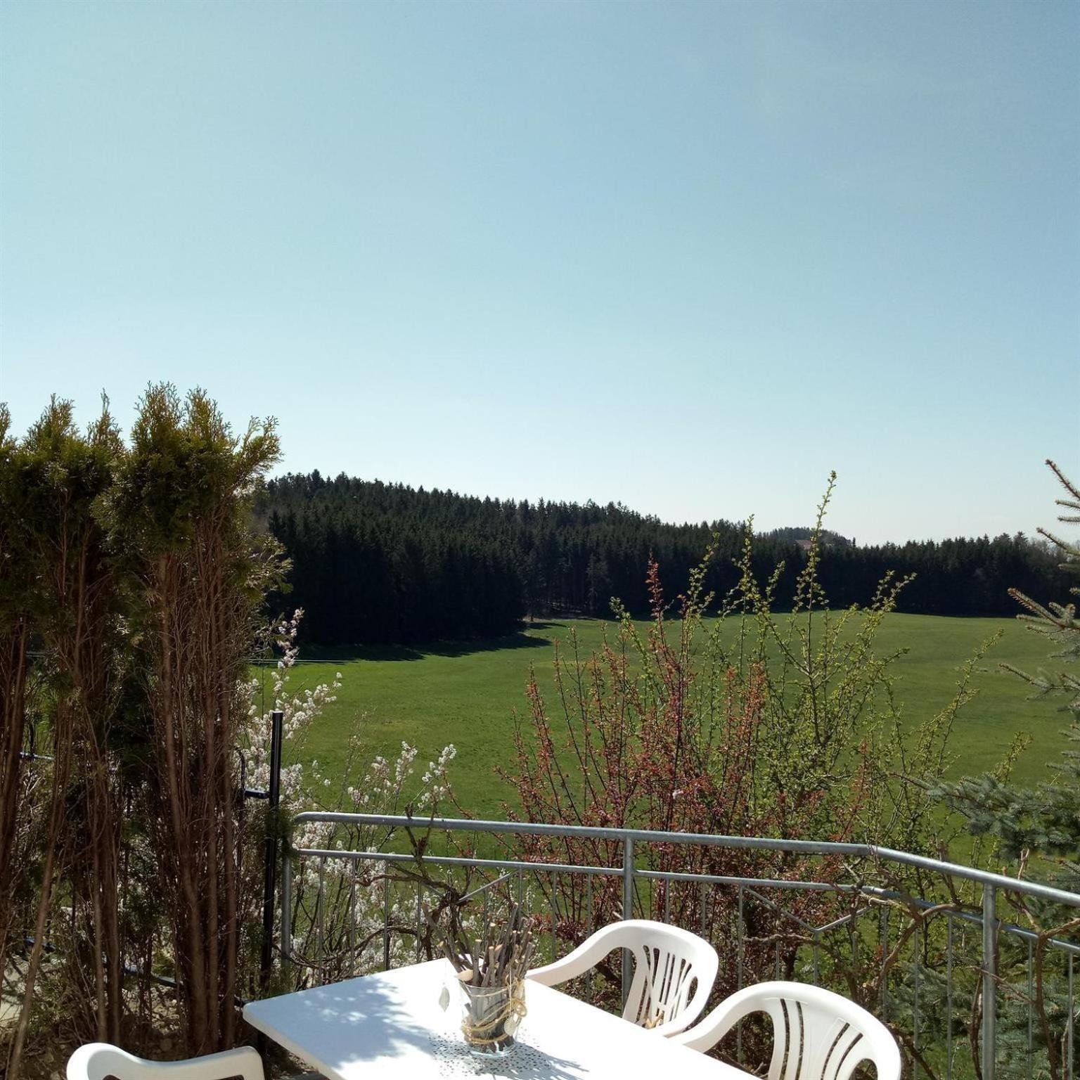 Hotel Gasthof Gruener Baum "Kongo" Amtzell Pokój zdjęcie